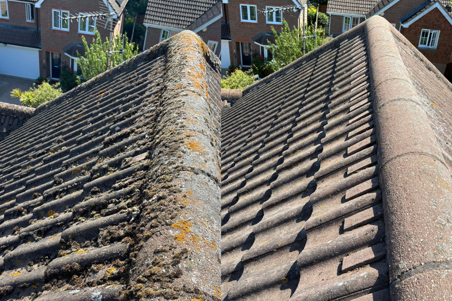 Moss Removal, ClearLight Property Care, Hampshire Wiltshire, Dorset, Exterior Cleaning, Property Maintenance